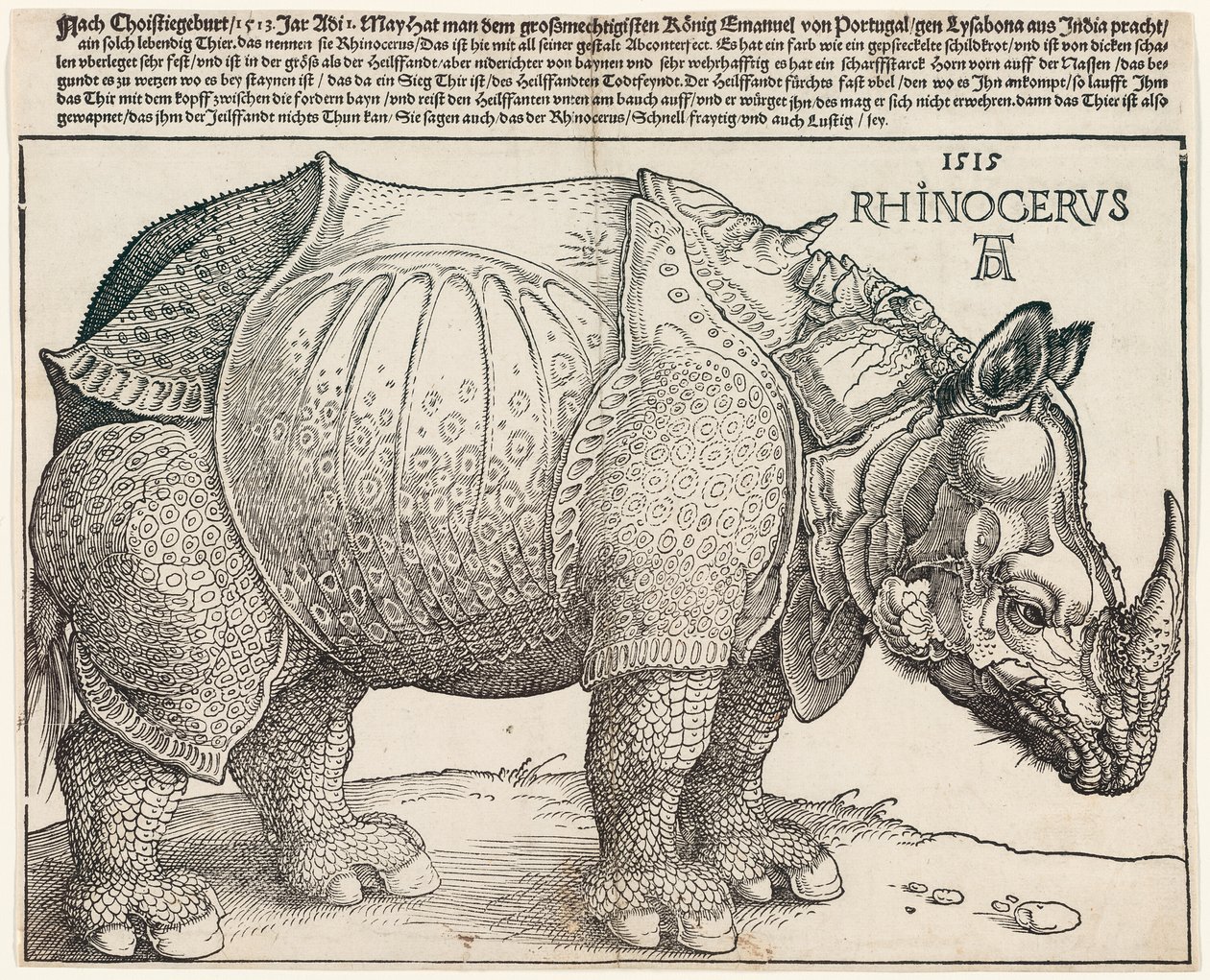 Das Nashorn von Albrecht Dürer