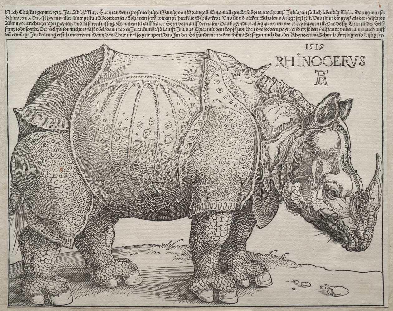 Das Nashorn von Albrecht Dürer