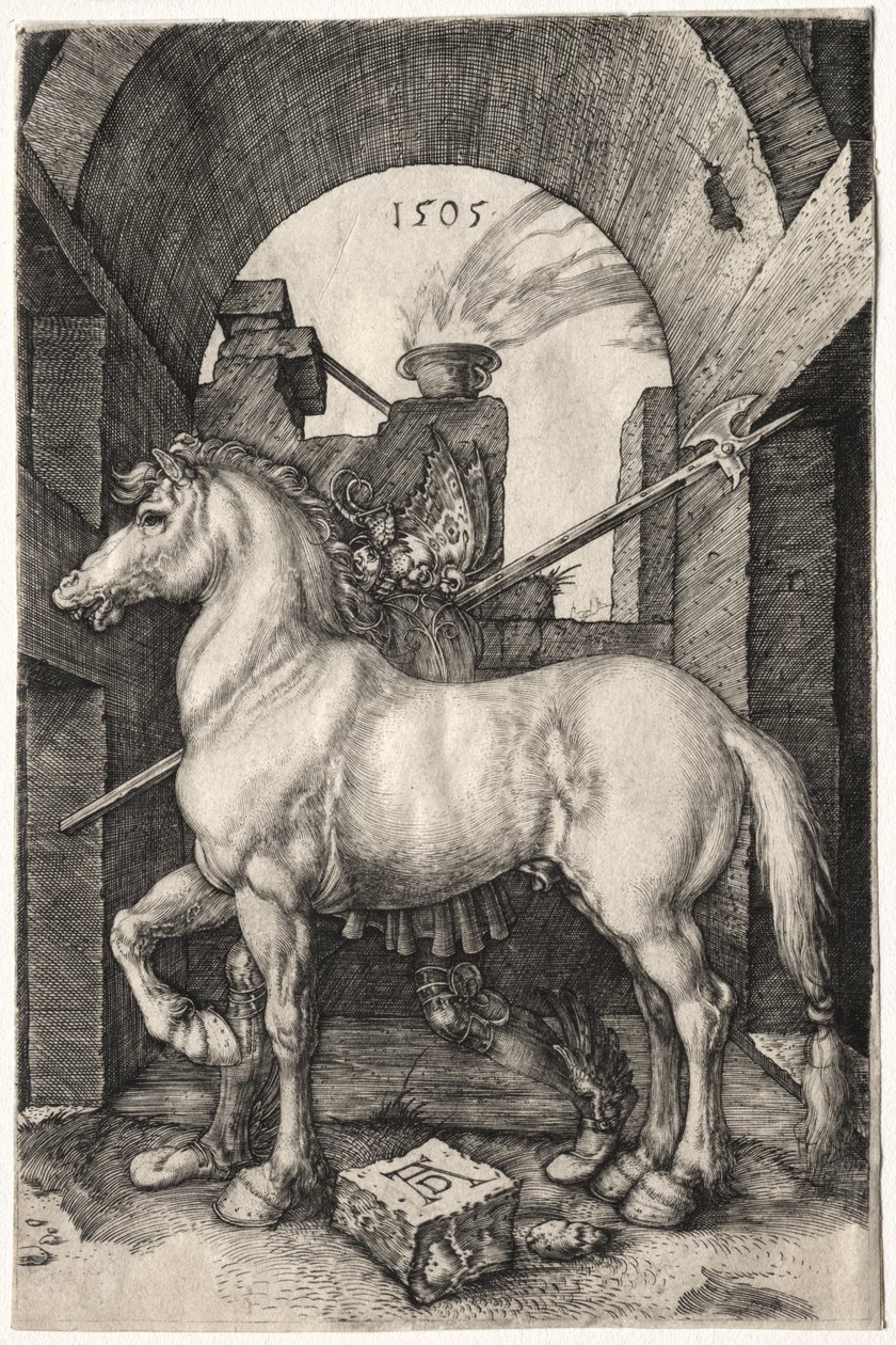 Das kleine Pferd von Albrecht Dürer