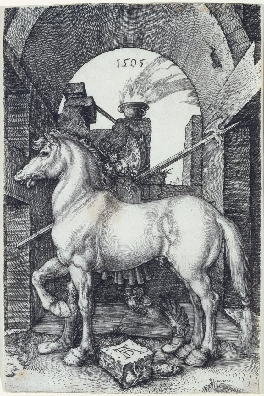 Das kleine Pferd von Albrecht Dürer