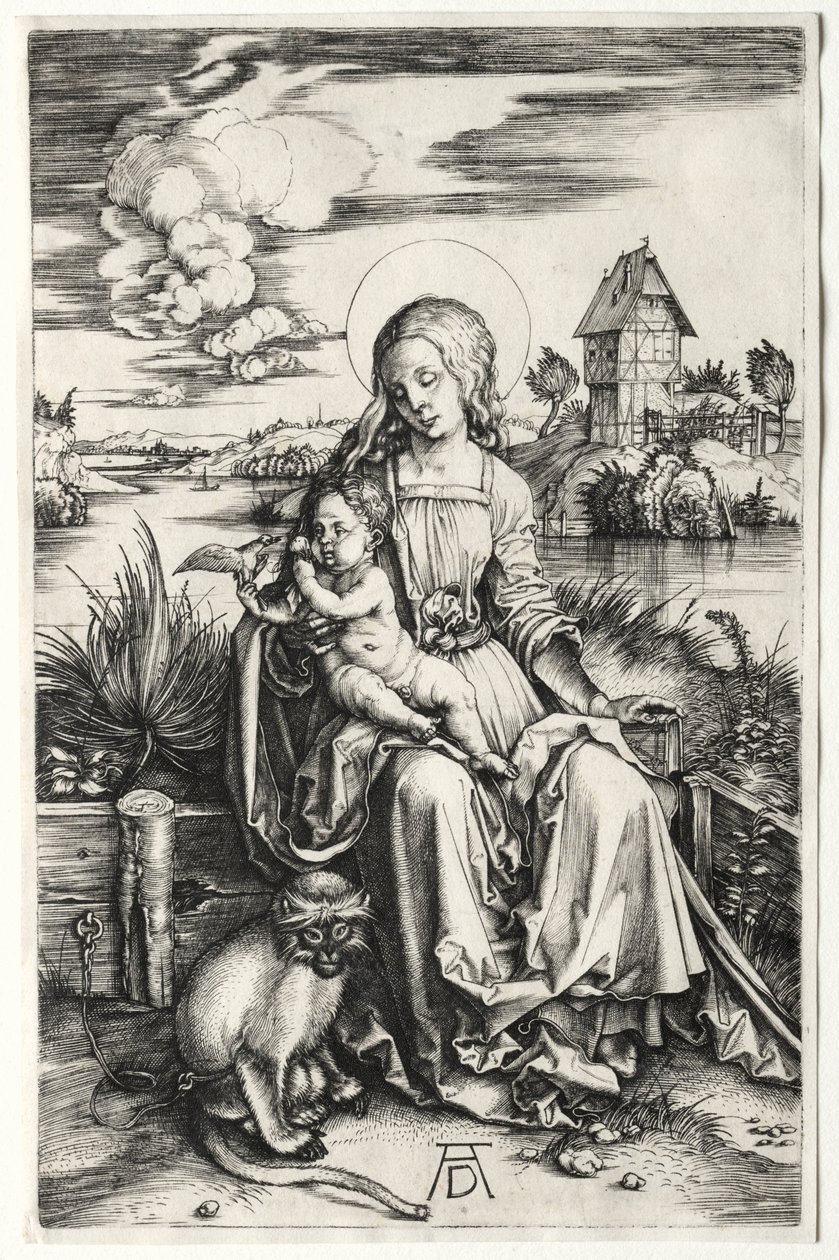 Die Jungfrau und das Kind mit einem Affen von Albrecht Dürer