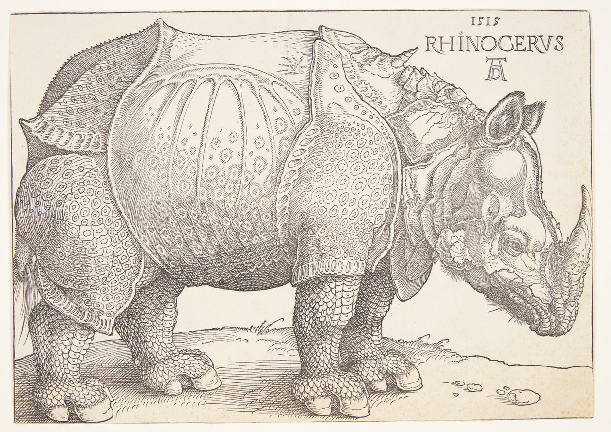 Das Nashorn von Albrecht Dürer