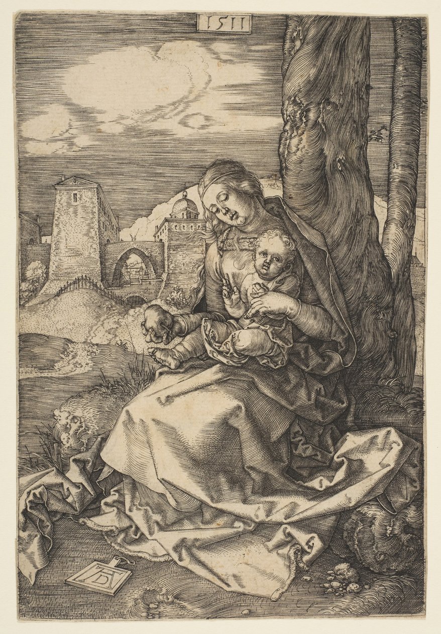 Jungfrau und Kind mit der Birne von Albrecht Dürer