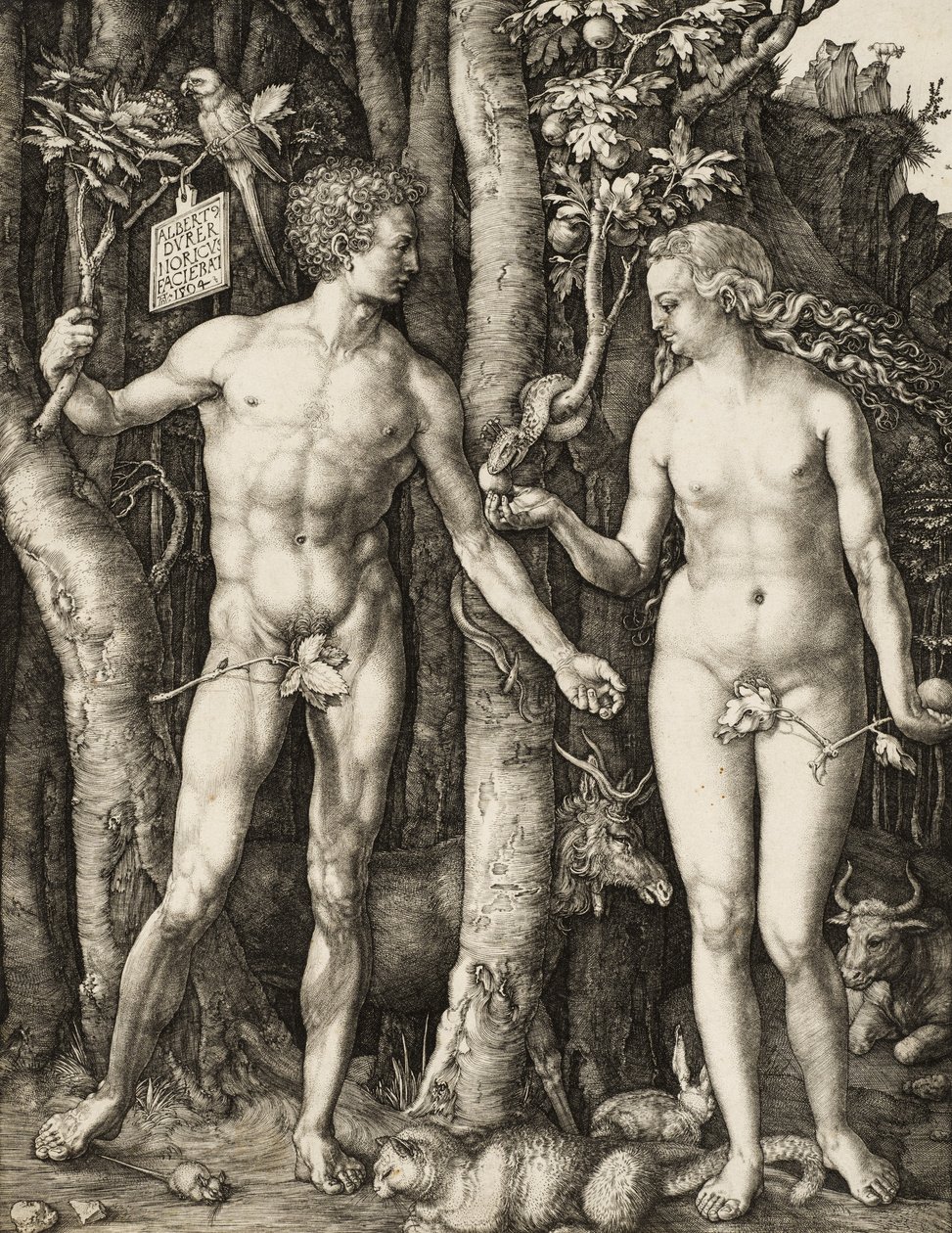 Adam und Eva von Albrecht Dürer