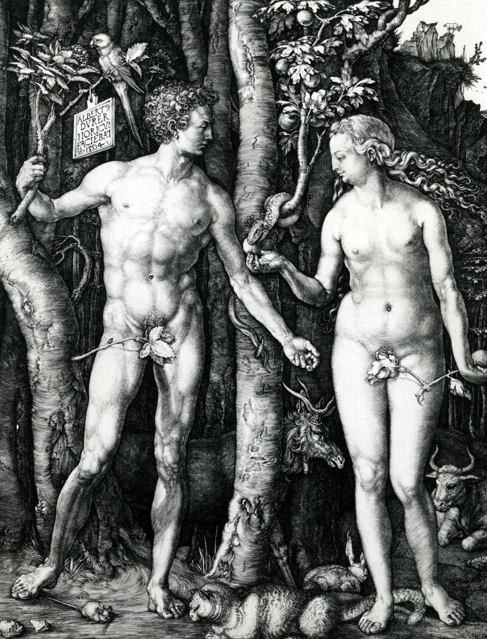 Adam und Eva von Albrecht Dürer