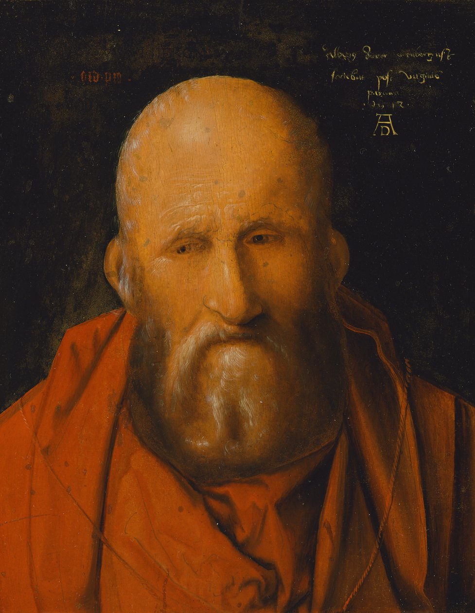 Heiliger Hieronymus von Albrecht Dürer
