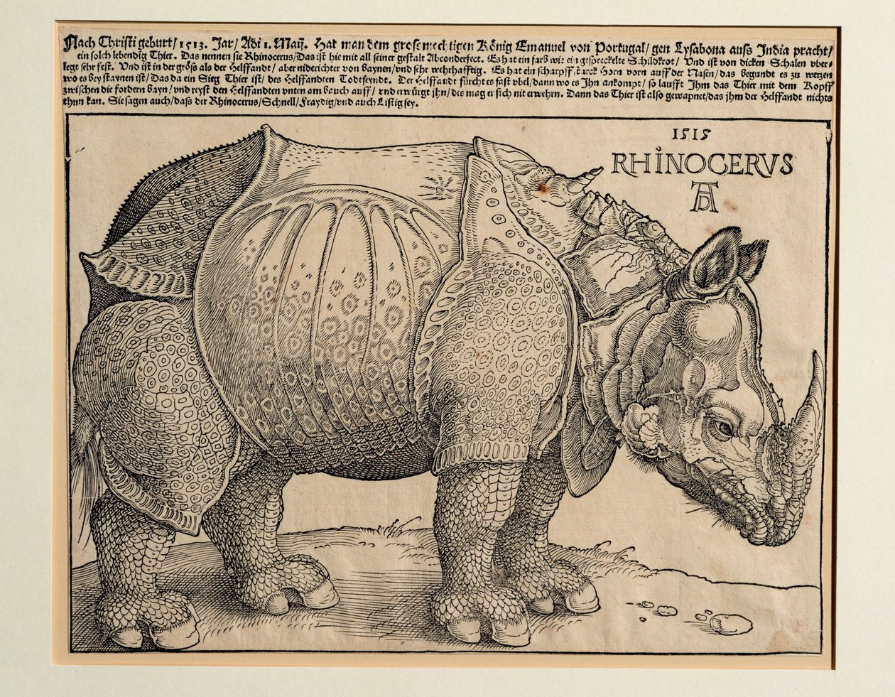 Das Nashorn von Albrecht Dürer or Duerer
