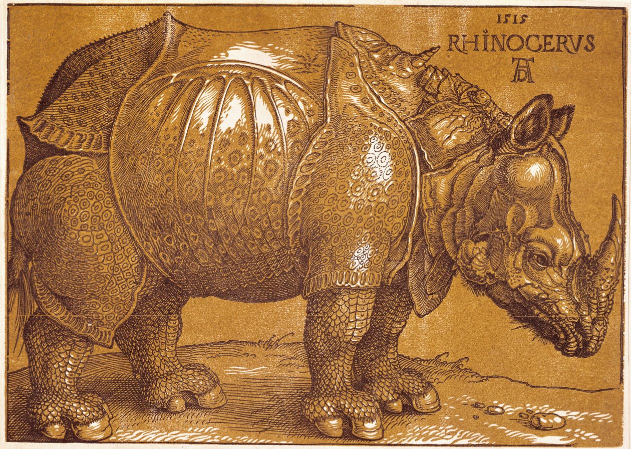 Das Nashorn von Albrecht Dürer or Duerer
