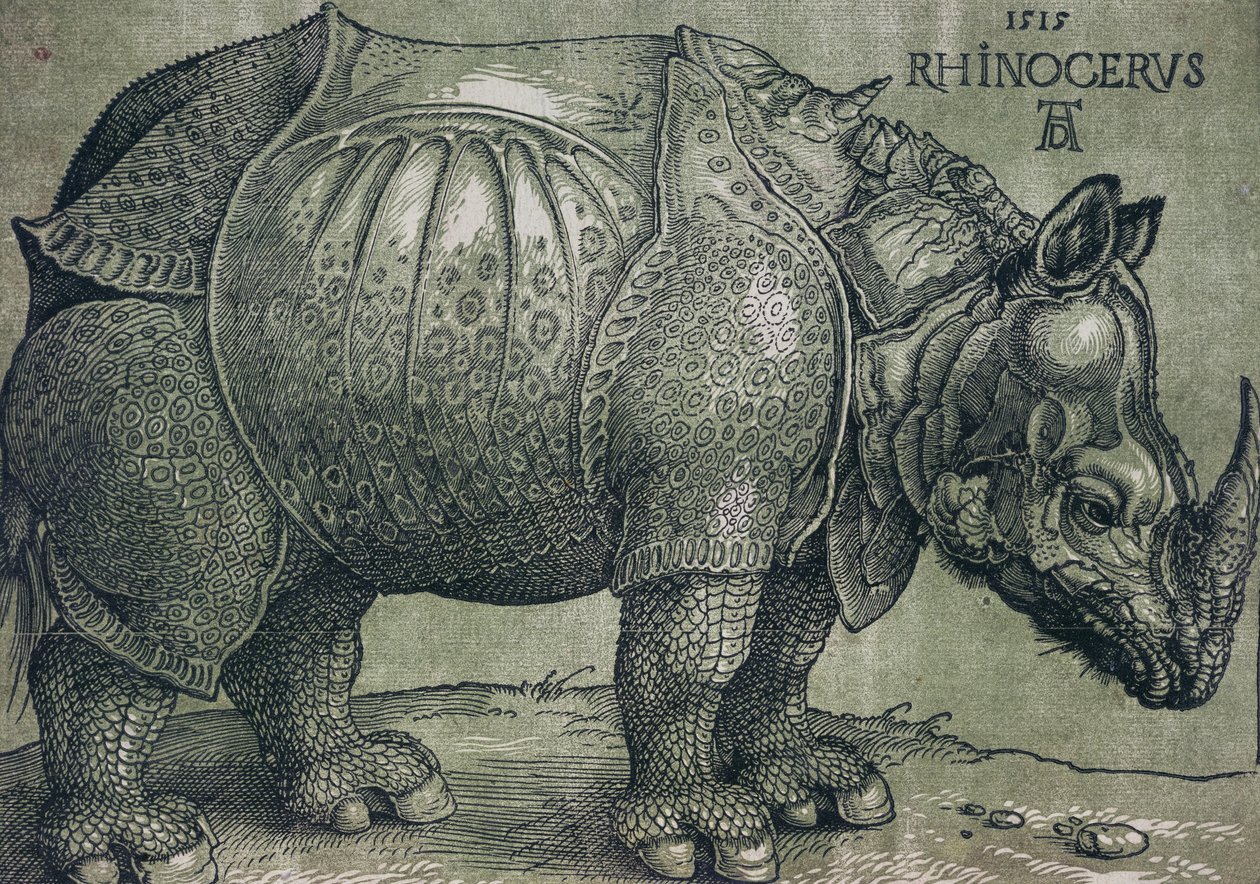 Das Nashorn, 1515 von Albrecht Dürer