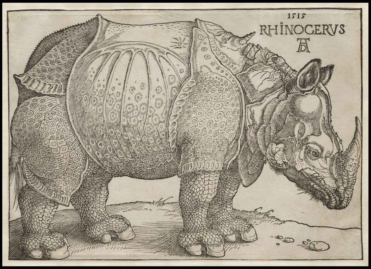 Das Nashorn, 1515 von Albrecht Dürer