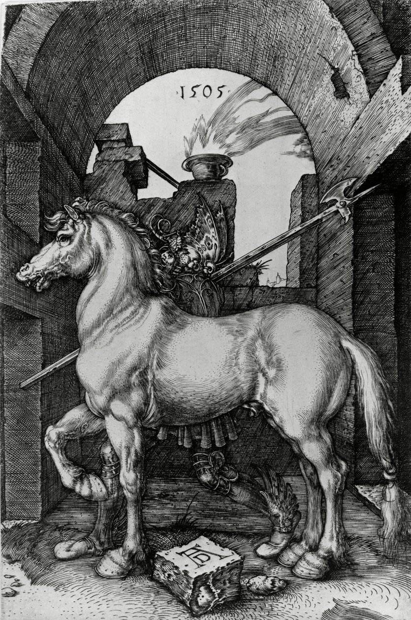 Das kleine Pferd von Albrecht Dürer