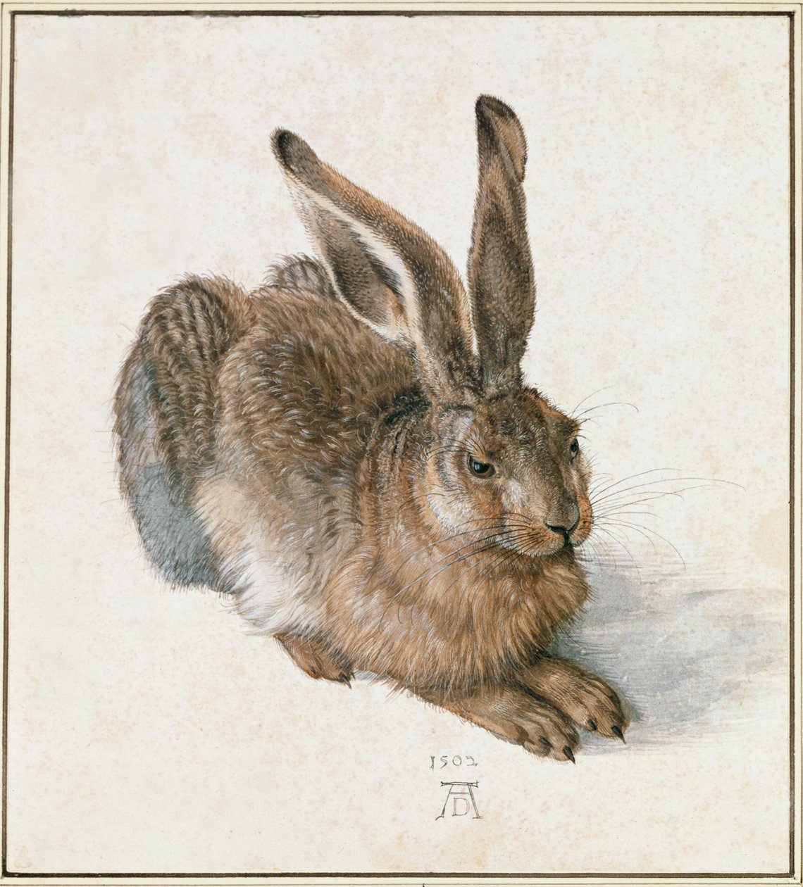Junger Hase von Albrecht Dürer or Duerer