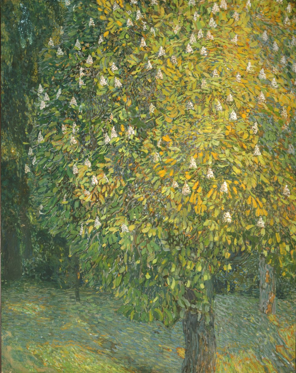 Blühender Kastanienbaum von Aleksandr Jakovlevic Golovin