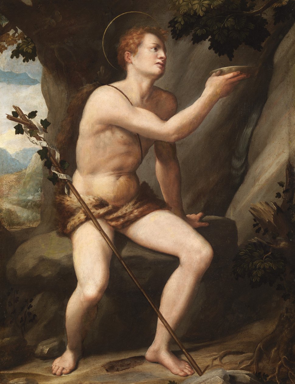 Johannes der Täufer von Alessandro Allori