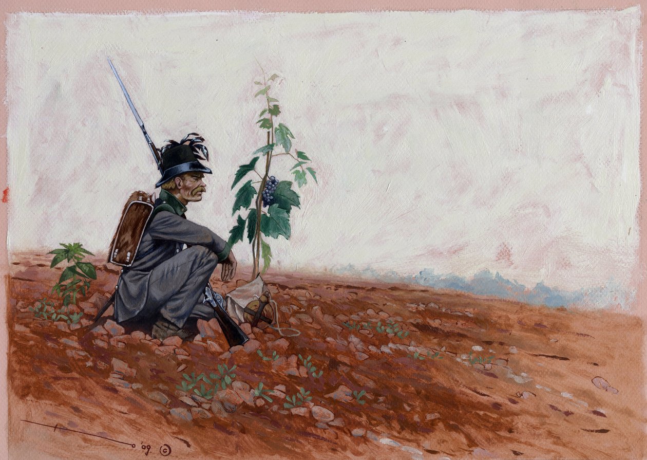 Österreichischer Jäger, sitzt in der Nähe eines Weinbergs von Alessandro Lonati