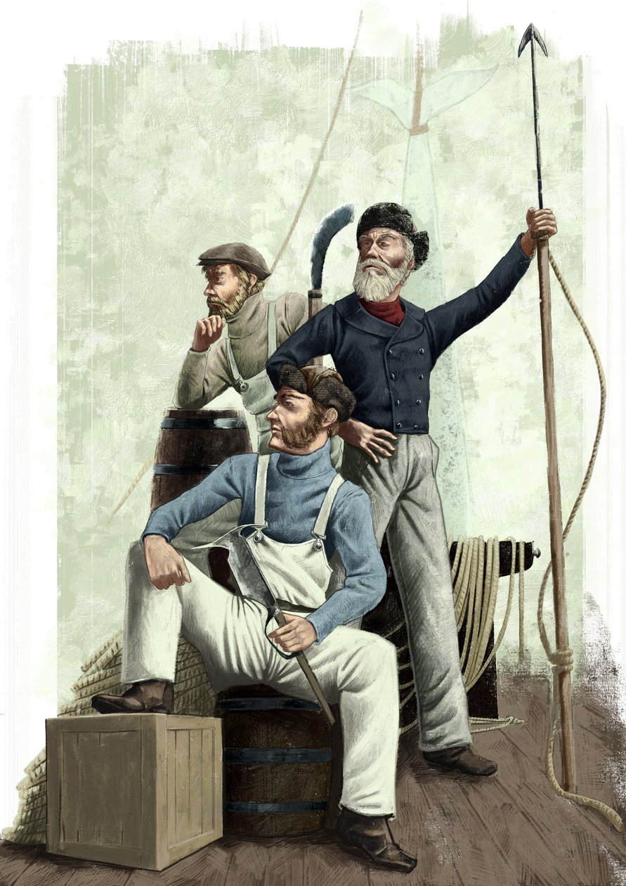Drei Wale von Alessandro Lonati
