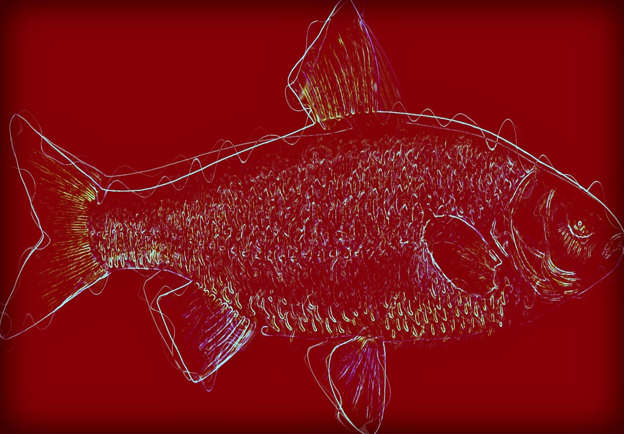 Fisch V von Alex Caminker