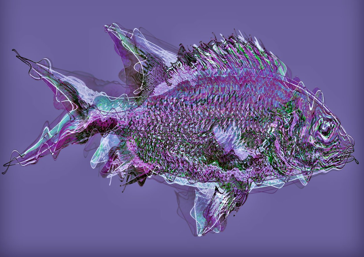 Fisch im Wasser, 2020 von Alex Caminker