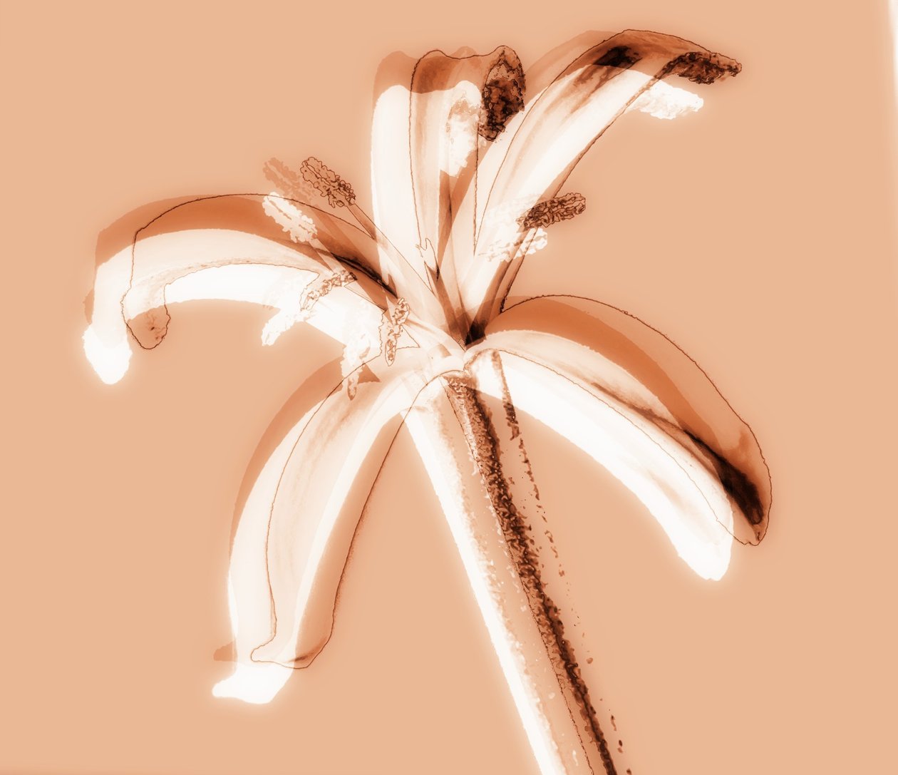 Ohne Titel, 2019 von Alex Caminker