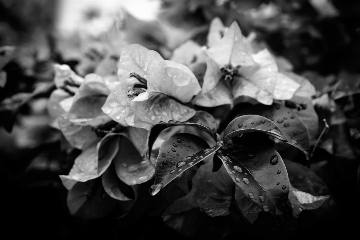 Cluster von Alex Caminker