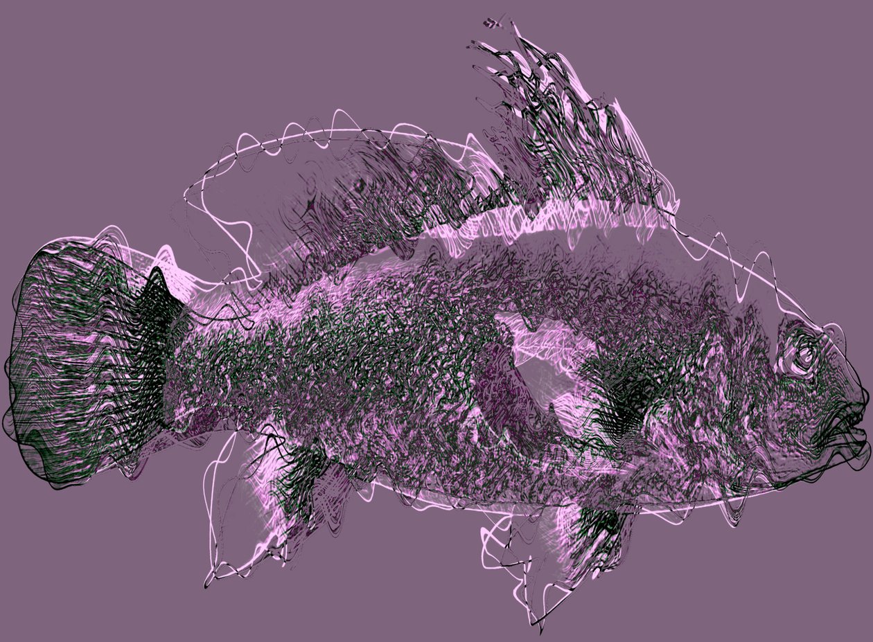 Fisch III, 2020 von Alex Caminker