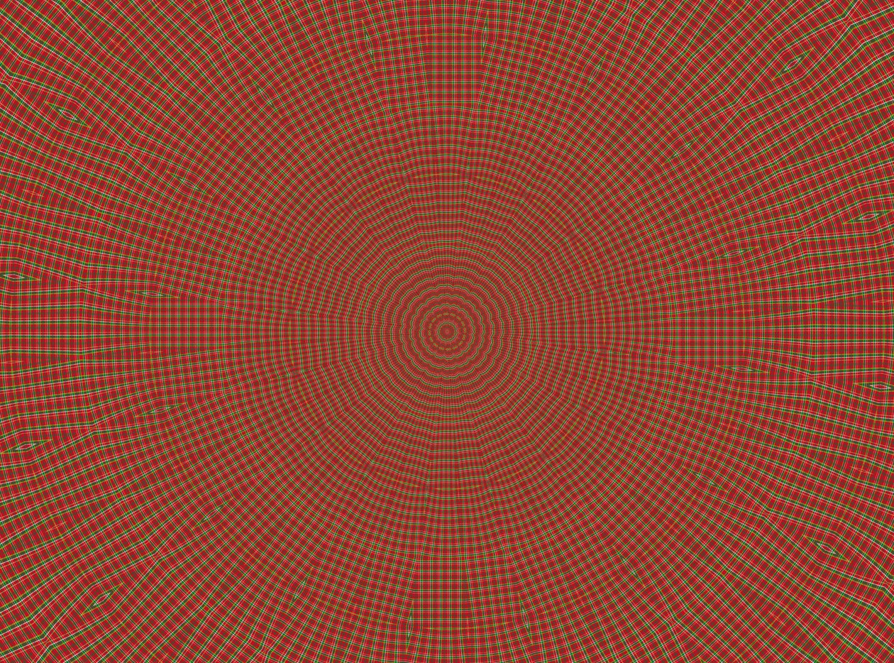 Ornament #2, 2019 von Alex Caminker