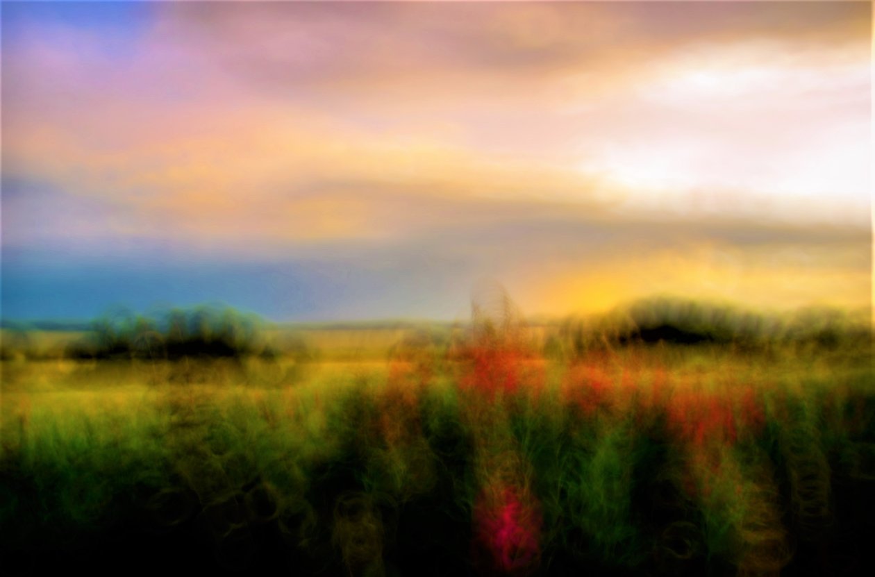 Palette von Alex Caminker