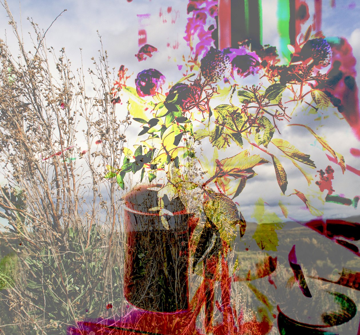 Stillleben, 2019 von Alex Caminker