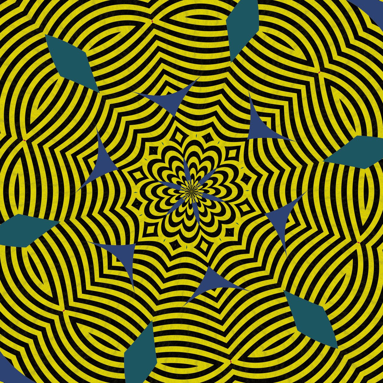 Symmetrie #13 von Alex Caminker