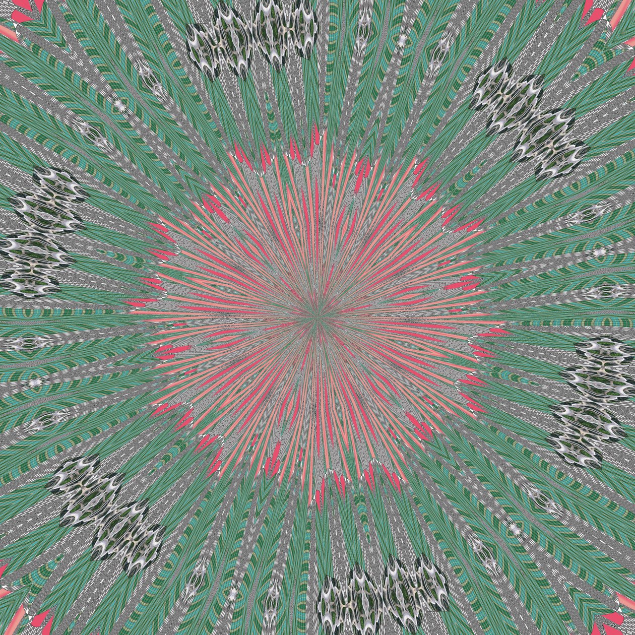 Symmetrie #31 von Alex Caminker