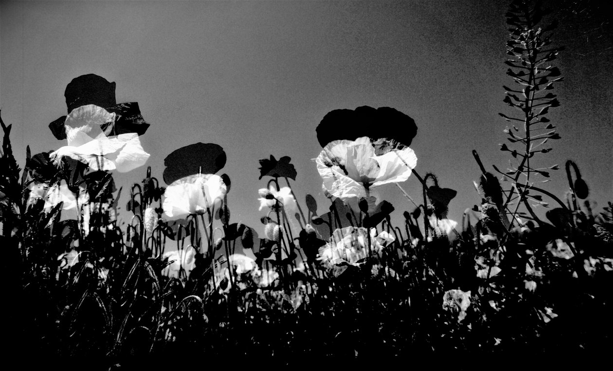 Theater, 2019 von Alex Caminker