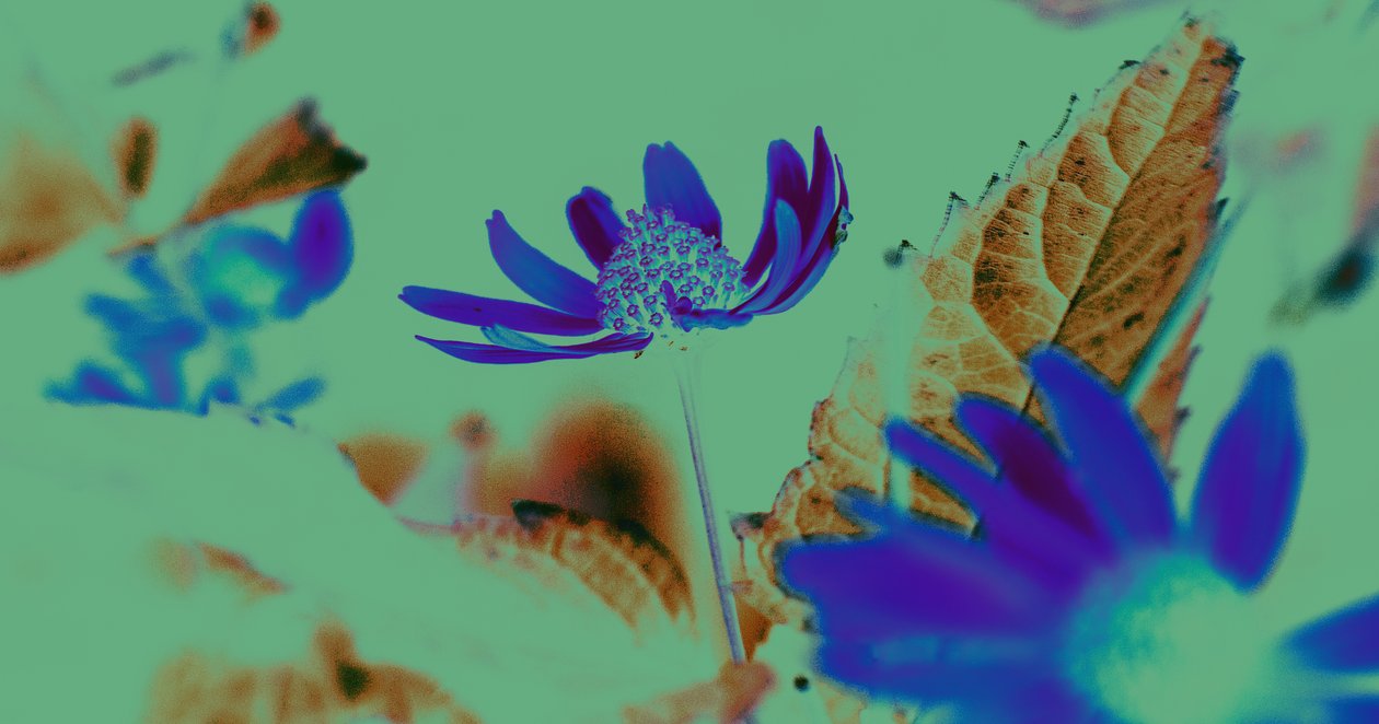 UV Vision, 2019 von Alex Caminker