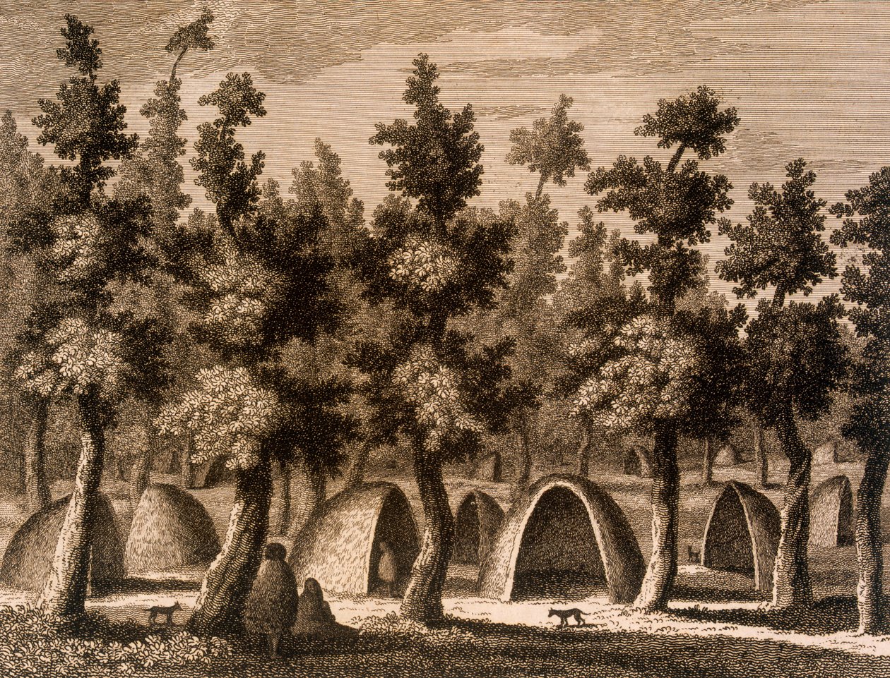 Ansicht eines Dorfes in der Bucht von Good Success, Feuerland, 1777 von Alexander Buchan