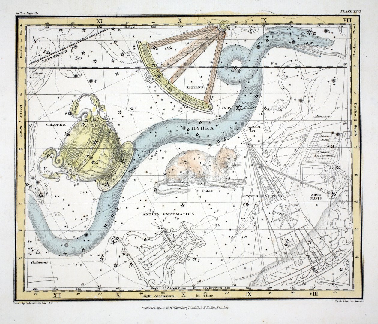Die Sternbilder (Tafel XXVI) Hydra, Sextans Uraniae, Le Chat, La Machine Pneumatique, aus 