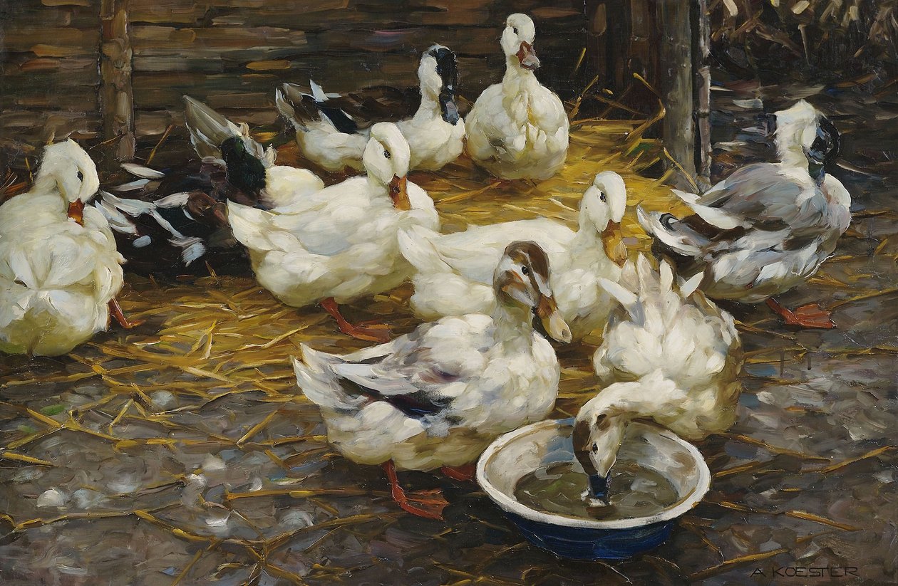 Enten im Stroh von Alexander Koester