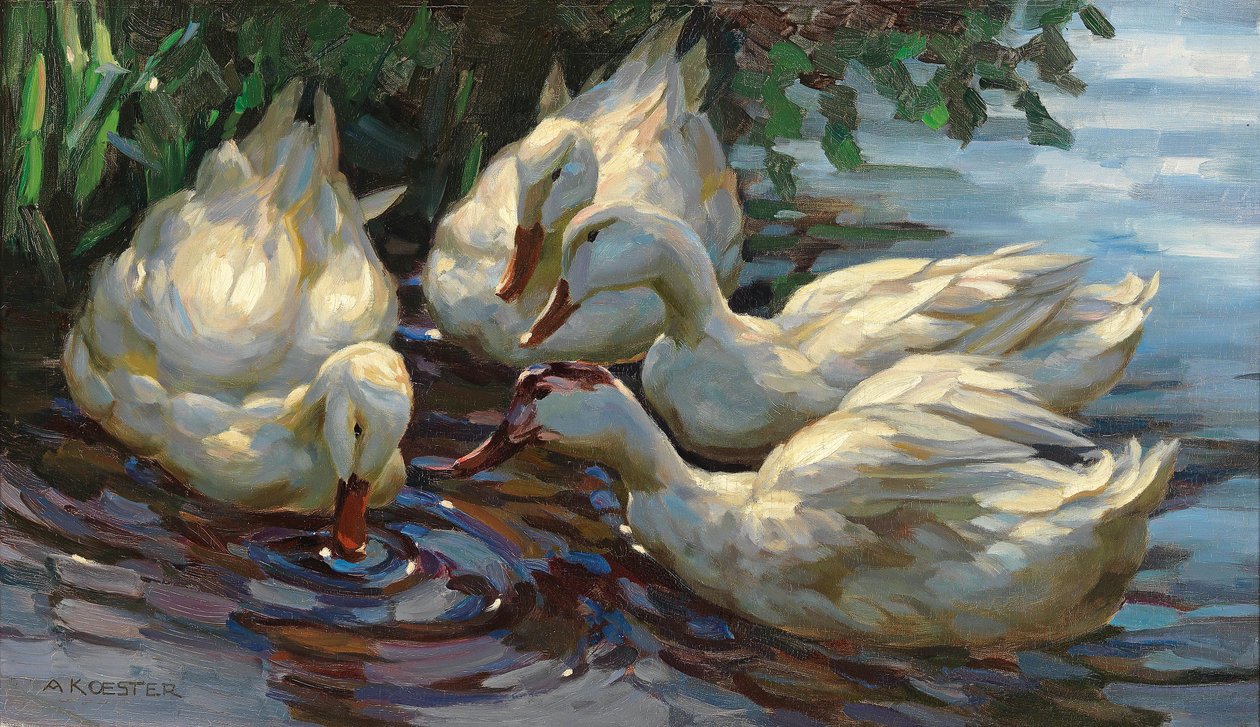 Vier Enten am Weiher von Alexander Koester
