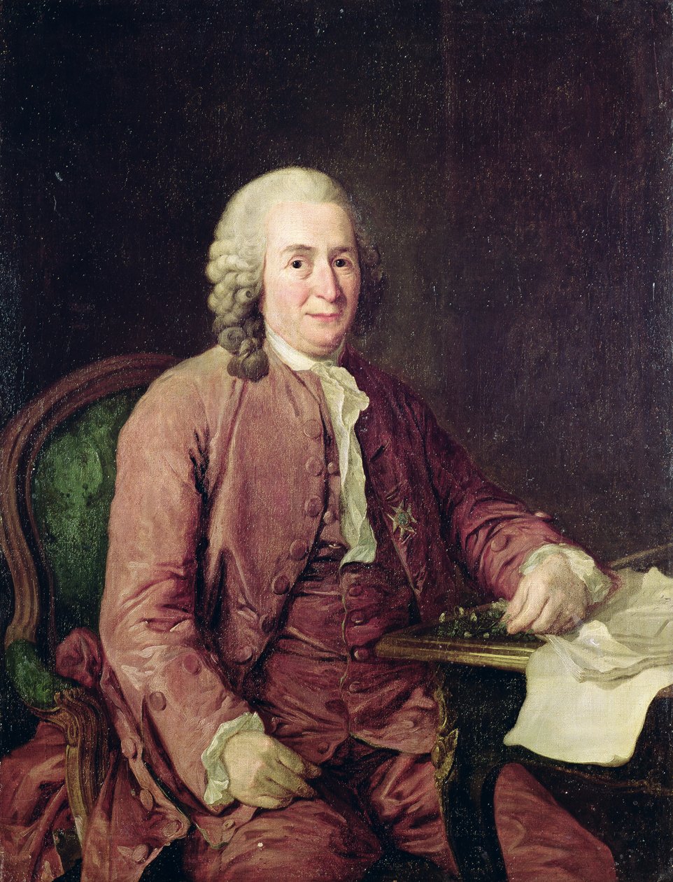 Porträt von Carl von Linné (1707-78) von Alexander Roslin