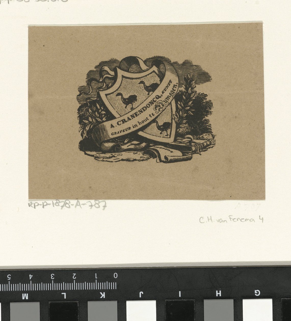 Wappen der Familie Cranendoncq von Alexander Cranendoncq