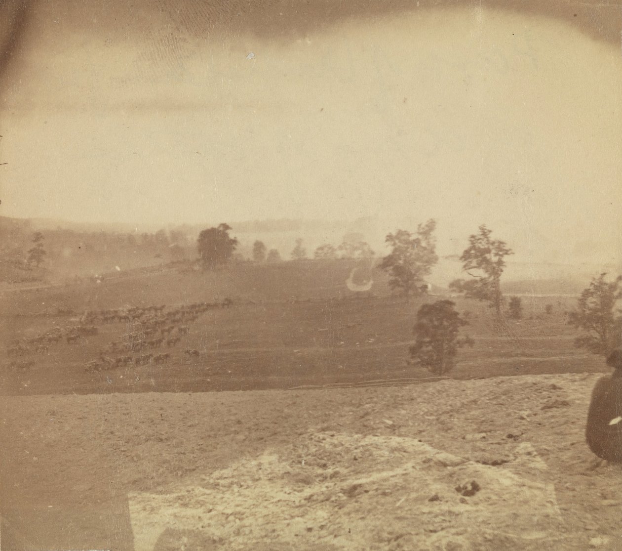[Antietam Schlachtfeld] von Alexander Gardner