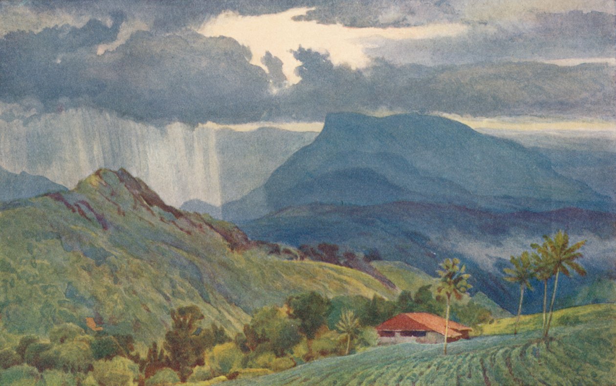 Ein tropischer Schauer, ca. 1880, 1905 von Alexander Henry Hallam Murray