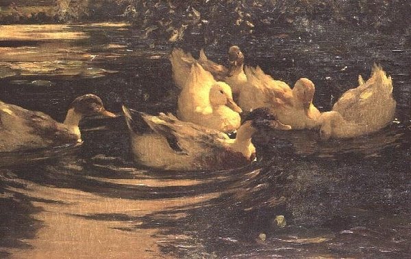 Enten auf einem Teich von Alexander Koester