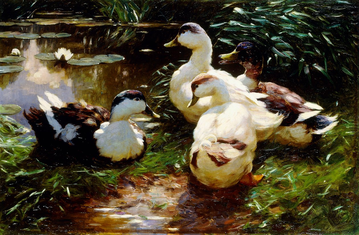 Enten am Flussufer von Alexander Koester