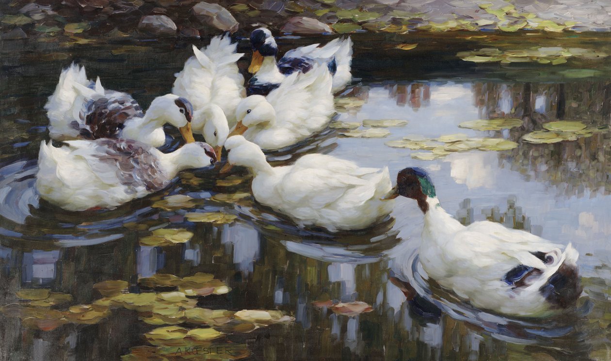 Der Ententeich von Alexander Koester