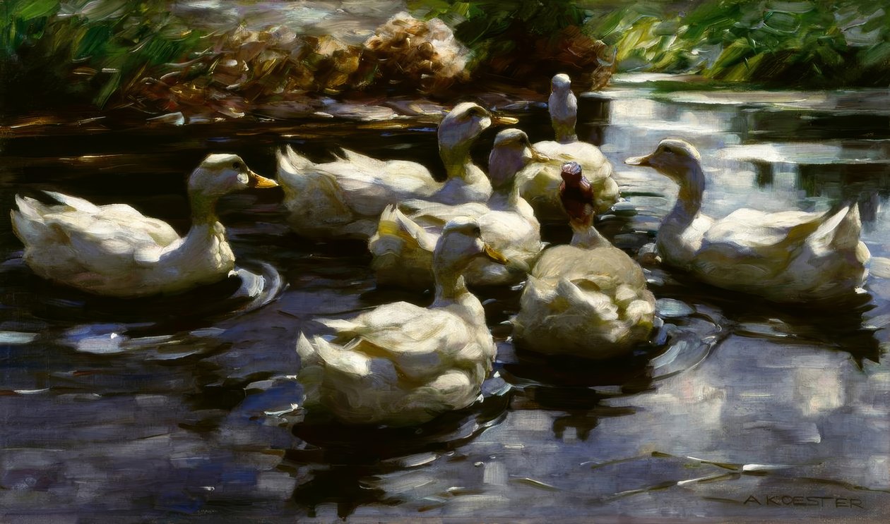 Enten im Teich von Alexander Köster