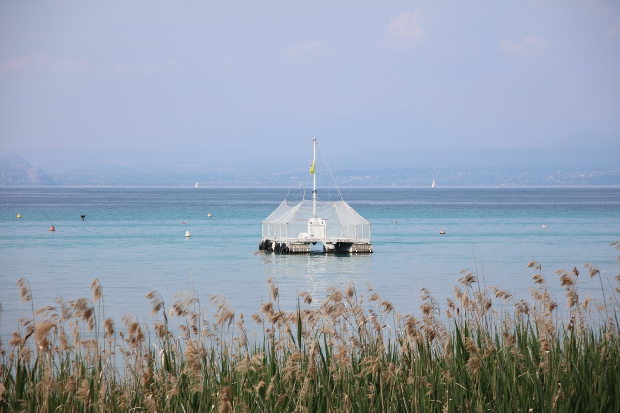 Ruhe am See von Alexandra Joseph