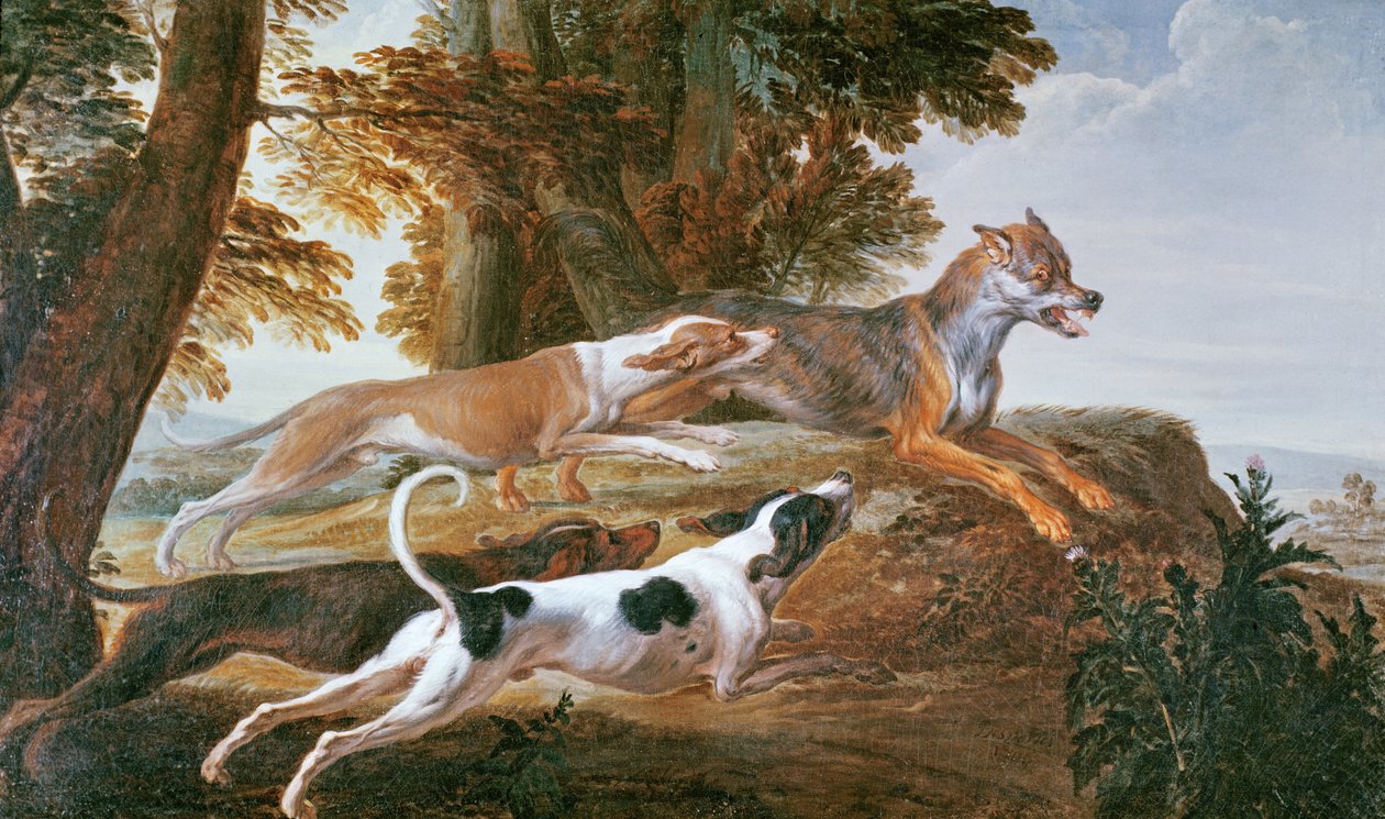 Die Wolfsjagd, ca. 1720 von Alexandre Francois Desportes