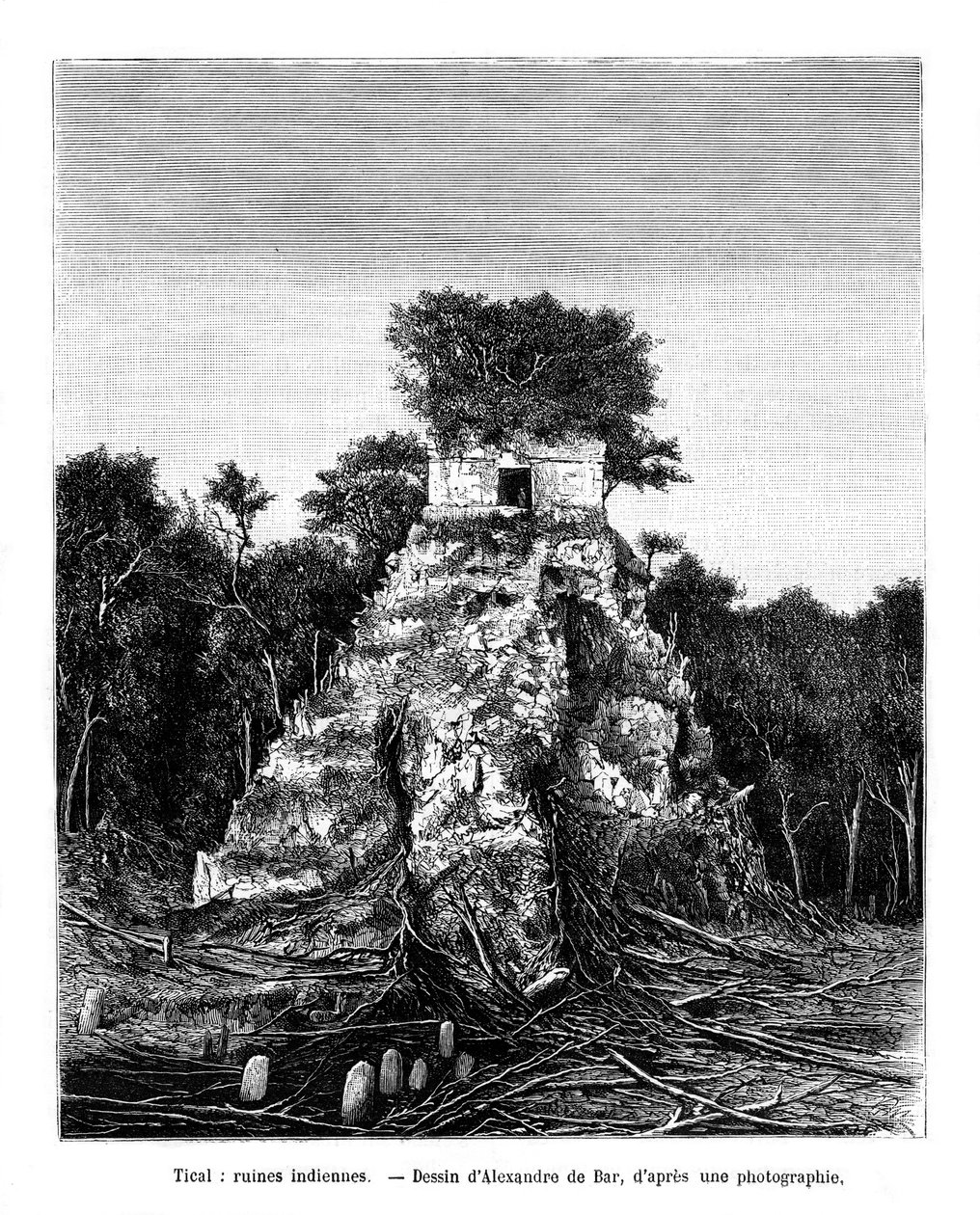 Maya-Ruinen, Tikal, Guatemala von Alexandre de Bar