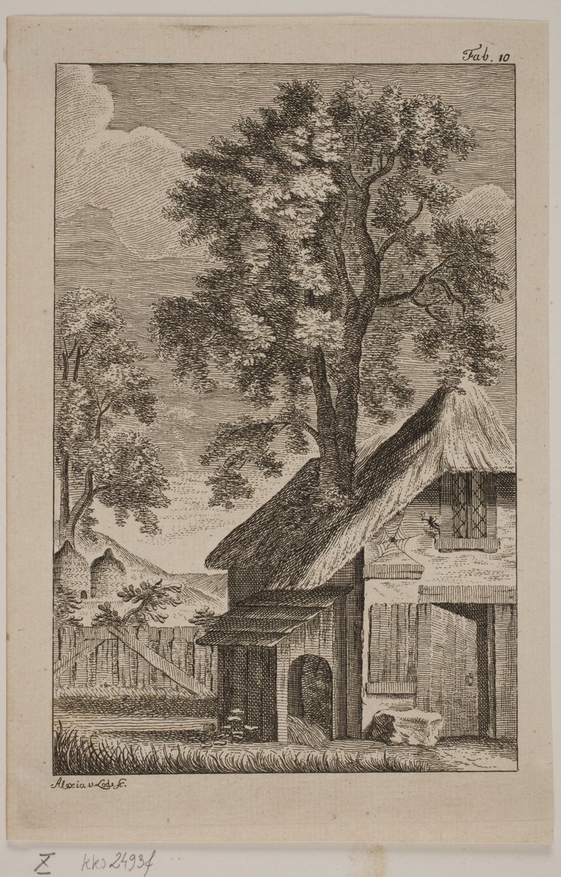 Die Spinne und die Biene von Alexia von Lode