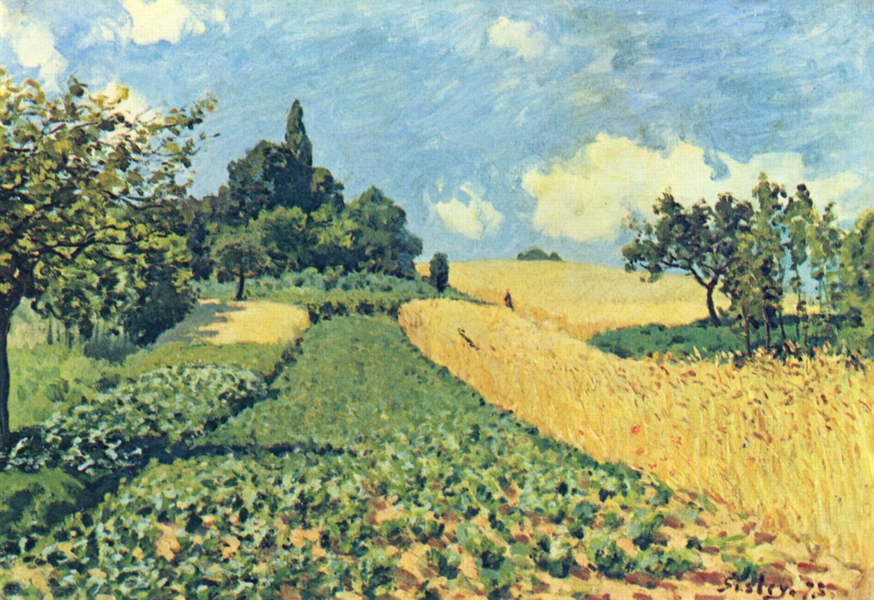 Getreidefelder auf den Hügeln von Argenteuil von Alfred Sisley