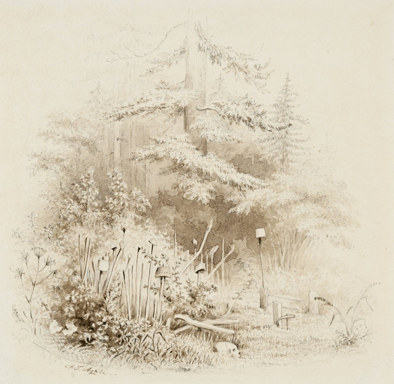 Indianischer Begräbnisplatz, Oregon, 1841 von Alfred Thomas Agate